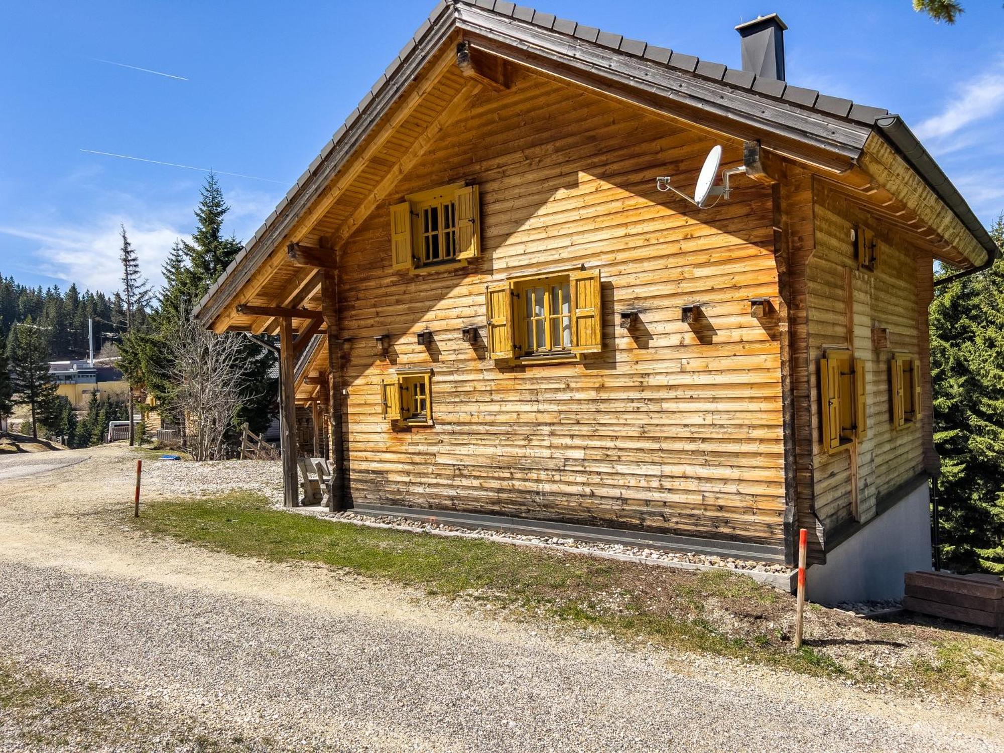 1A Chalet Enzianhuette - Ski Fahren Und Indoor Sauna Villa Elsenbrunn Exterior photo